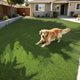 TheLAShop Artificial Turf Roll 4-Color Fescue & Thatch Grass, 1.38" Pile Image
