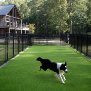 TheLAShop Dog Run Turf Outdoor Artificial Grass (1 3/8"H Pile) Image