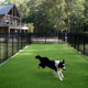 TheLAShop Dog Run Turf Outdoor Artificial Grass (1 3/8"H Pile) Image