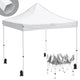 TheLAShop Waterproof Pop Up Canopy 10x10 Comml. Instant Canopy CPAI-84, White Image