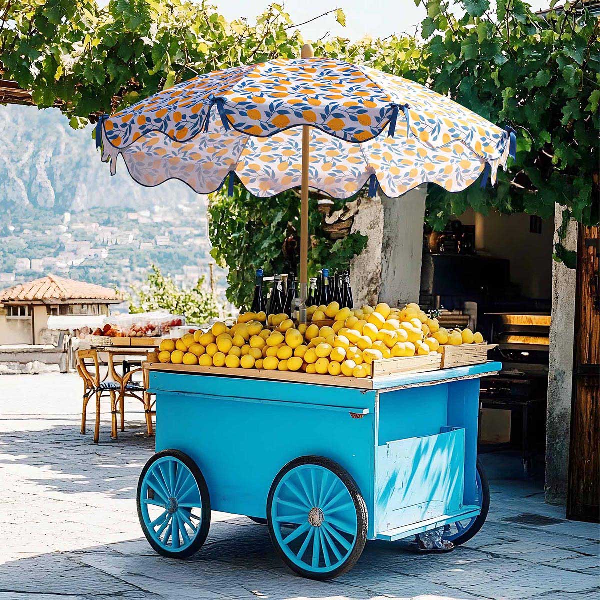 6ft teal patio umbrella TheLAShop 6ft 8-Rib Wood Patio Umbrella Tilt Food Cart Umbrella