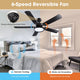 TheLAShop 52" Ceiling Fan with Lights Black 5-Blade Remote Control