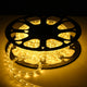 TheLAShop Plug-in Integrated LED Rope Light 3000K, 120V, 1/2"(13mm), 50ft Image