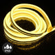 TheLAShop 100ft Waterproof Flexible LED Neon Light RF Remote Warm White Image