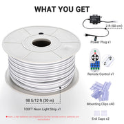 TheLAShop 100ft Waterproof Flexible LED Neon Light RF Remote Warm White Image
