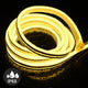 TheLAShop 150ft Outdoor Neon Rope Light RF Remote & Controller AC110V Image