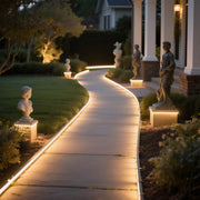 TheLAShop 150ft Outdoor Neon Rope Light RF Remote & Controller AC110V Image