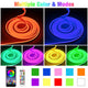 TheLAShop 16.4ft Neon Rope Light Color Changing 2ct/Pack Remote APP