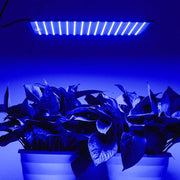 TheLAShop 225 Ultrathin Blue Red Lamp LED Plant Grow Light Panel, Blue Image