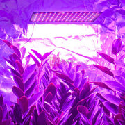 TheLAShop 225 Ultrathin Blue Red Lamp LED Plant Grow Light Panel Image