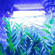 TheLAShop 225 Ultrathin Blue White LED Plant Grow Light Panel Image