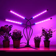 TheLAShop 40w Full Spectrum Grow Light for Indoor Plants with Timer Clip-on Image