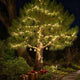 TheLAShop 200ft Outdoor String Light for Porch, Tree Trunk Wrap 4x50ft 110V Image