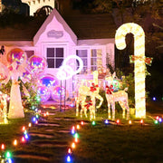 TheLAShop 100ft C9 Christmas Light Stringer for Pathway with Stakes Plugs Image
