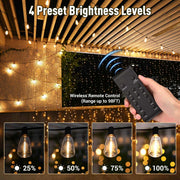 TheLAShop Dimmer & Timer with Remote Dusk-to-Dawn Outdoor Lighting Control Image