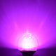 TheLAShop Purple Light Bulbs E27 3W 6-Pack Image