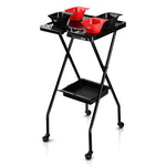 TheLAShop Magnetic Salon Tray Cart with Storage & Bowls Image