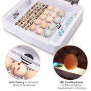 TheLAShop 36 Egg Incubator Automatic Turn Temp Humidity Control