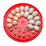 TheLAShop 30 Egg Incubator Automatic Turner Chicken Quail Duck Hatcher Image