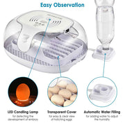 TheLAShop 16 Egg Incubator Hatcher Auto Turner w/ Temperature Control Image