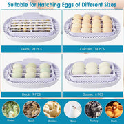 TheLAShop 16 Egg Incubator Hatcher Auto Turner w/ Temperature Control Image