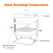 TheLAShop Chick Heating Plate Adjustable Height & Angle Image