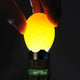 TheLAShop 5W Cool Light LED Handheld Egg Candler Egg Tester Torch Image