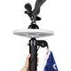 TheLAShop 20ft Aluminum Flagpole with Light & Eagle Top, Black Image