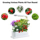 TheLAShop Countertop Hydroponic Kit with LED Grow Lights 3 Seed Pods Image