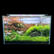 AquaBasik Aquarium Lighting 30-41 Inch 129 LED Fish Tank Light Fixture