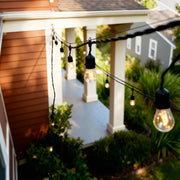 TheLAShop T316 Stainless Steel Cable 7x7 (4x)60ft (Vinyl Coating 2.5mm) Image