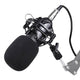 TheLAShop Studio BM800 Condenser Microphone Kit w/ Shock Mount Image