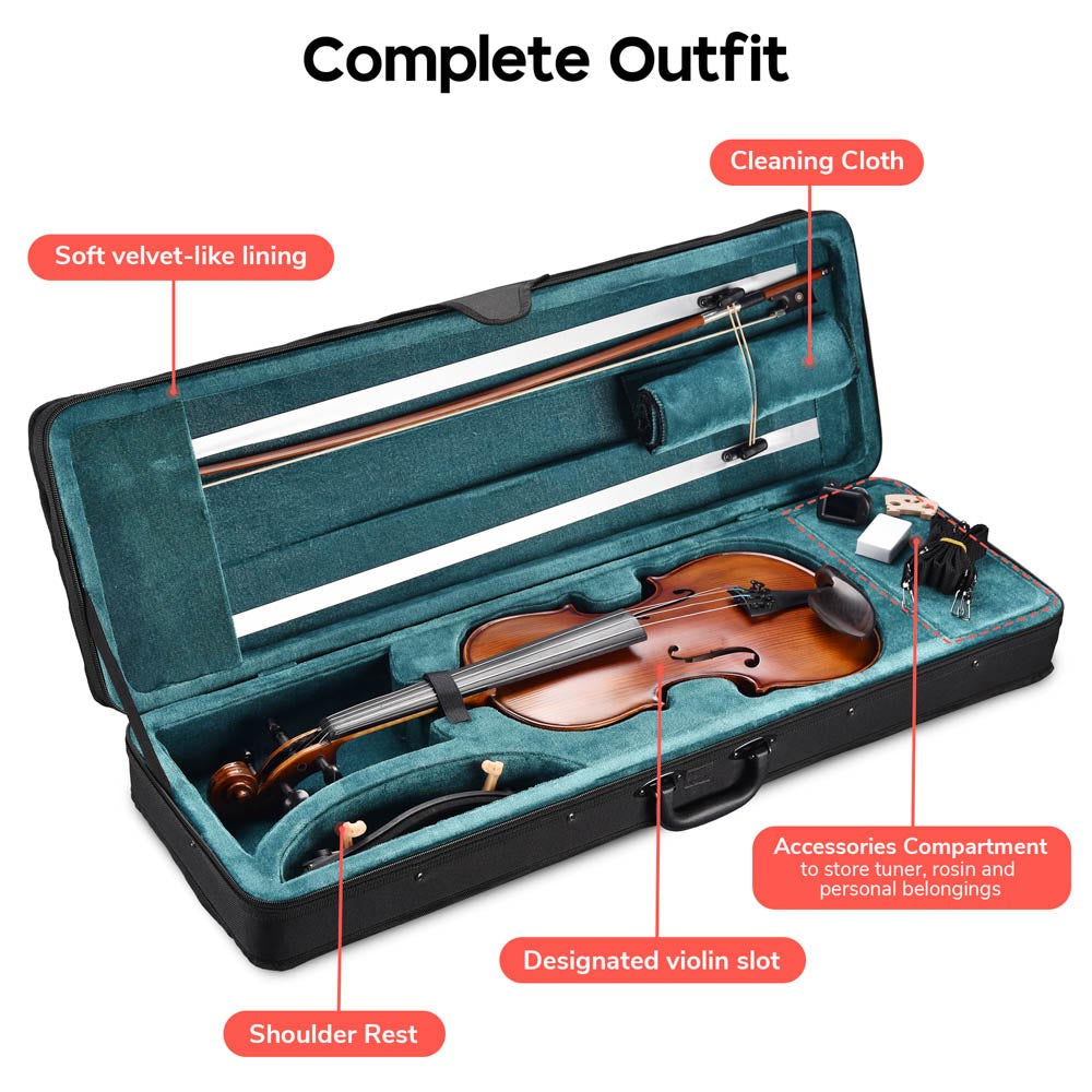 Vif violin 2024