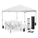 TheLAShop 10x10 Pop Up Canopy Art Fair Booth w Rolling Bag, Optional Sidewalls, Rolling Bag Image