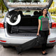 TheLAShop 10x10 Pop Up Canopy Art Fair Booth w Rolling Bag, Optional Sidewalls Image