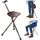 TheLAShop Folding Seat Cane Walking Stick Adjustable Height, Bronze Image