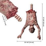 TheLAShop 29x7x37in Halloween Props Hanging Torso Severed Skinned Image