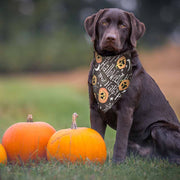 TheLAShop 10-Pack Dog Bandanas Halloween Pet Scarf Washable 32x21x21" Image