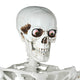 TheLAShop Life Size 5.4ft Full Body Skeleton Props Posable Halloween Party Decor