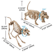 TheLAShop Halloween Skeleton Dog, Mermaid, Owl, Vulture, Bat, Spider Options Image