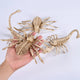 TheLAShop Halloween Skeleton Dog, Mermaid, Owl, Vulture, Bat, Spider Options, Spider+Scprpion Image