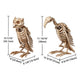 TheLAShop Halloween Skeleton Dog, Mermaid, Owl, Vulture, Bat, Spider Options Image