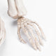 TheLAShop Tombstone & Groundbreaker Skeleton Outdoor Yard Decor Image