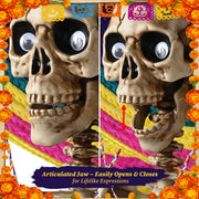 TheLAShop Life Size 5.6ft Posable Skeleton Halloween Prop Outdoor Decor Image