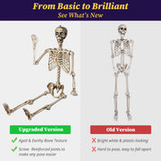 TheLAShop Life Size 5.6ft Posable Skeleton Halloween Prop Outdoor Decor Image