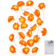 TheLAShop 10' Halloween Marigold Lights 20 LEDs Garland Day of Dead, 2ct. Image