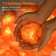 TheLAShop 10' Halloween Marigold Lights 20 LEDs Garland Day of Dead, 2ct. Image