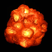 TheLAShop 20' Halloween Marigold Lights 40 LEDs Garland Day of Dead, 2ct. Image