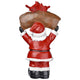 TheLAShop Christmas Figurine with LED Lights (Santa Snowman Optional) Image