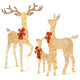 TheLAShop Light Up Reindeer Outdoor Christmas Decoration 3-Piece Image
